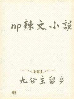 np辣文小说