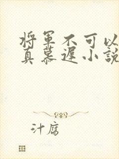 将军不可以魏云真慕迟小说笔趣阁