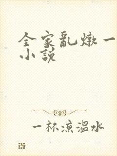 全家乱炖一锅烩小说