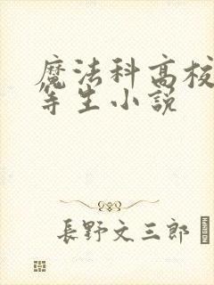 魔法科高校的劣等生小说封面