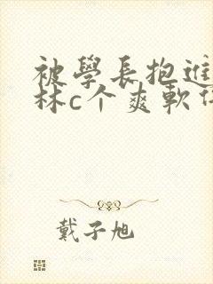 被学长抱进小树林c个爽软件封面