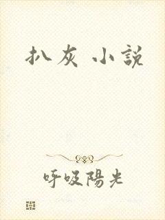 扒灰 小说封面