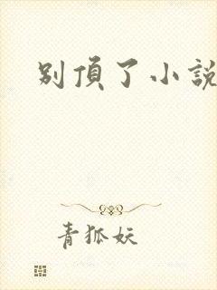 别顶了小说