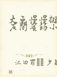 大龟慢慢挺进女友闺蜜的小说封面