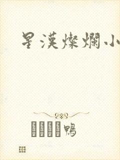星汉灿烂小说