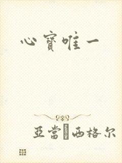 心宝唯一