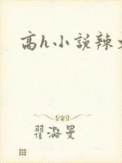 高h小说辣文封面