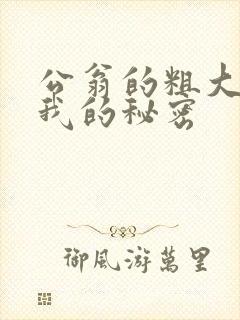 公翁的粗大放进我的秘密