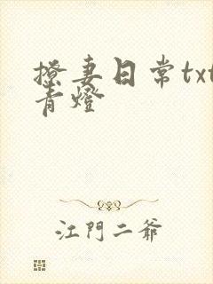 撩妻日常txt青灯