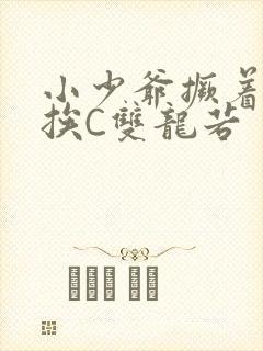 小少爷撅着屁股挨C双龙若封面