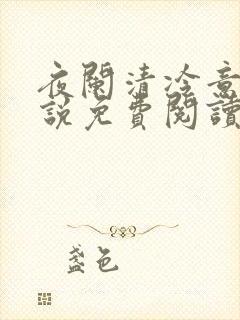 夜阑清冷意欢小说免费阅读