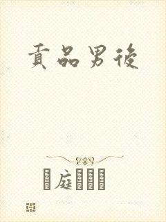 贡品男后