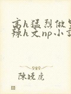 高h猛烈做哭高辣h文np小说