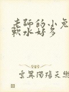老师的小兔子好软水好多