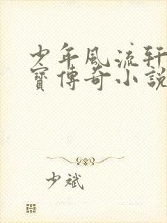 少年风流轩辕大宝传奇小说