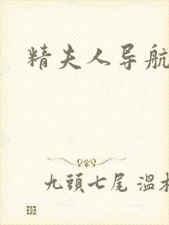 精夫人导航