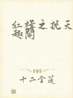 红楼之挽天倾笔趣阁封面