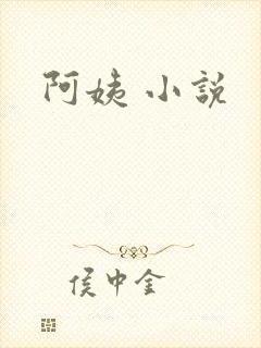 阿姨 小说