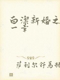 白洁新婚之夜第一章封面