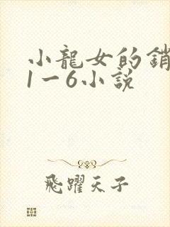 小龙女的销魂夜1一6小说封面