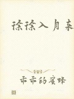 徐徐入月来