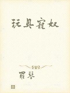 玩具宠奴