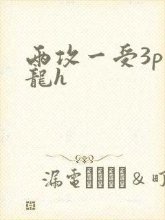 两攻一受3p双龙h