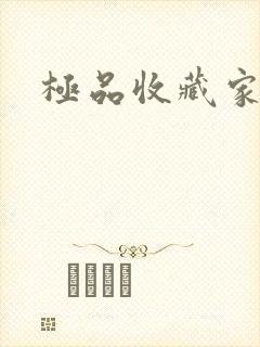 极品收藏家