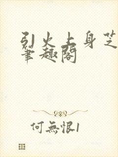 引火上身芝麻糖笔趣阁