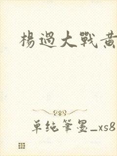 杨过大战黄蓉