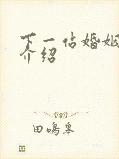 下一站婚姻剧情介绍