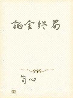 铂金终局封面