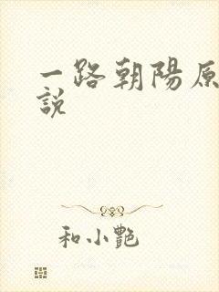 一路朝阳原著小说封面