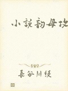 小说韵母攻略