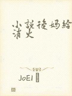 小说后妈给我消消火