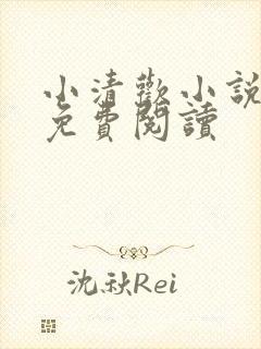 小清欢小说全文免费阅读封面