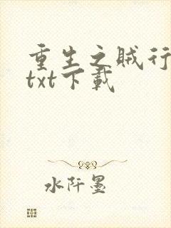 重生之贼行天下txt下载