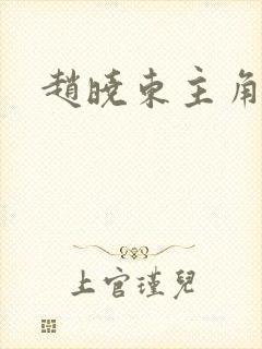赵晓东主角小说