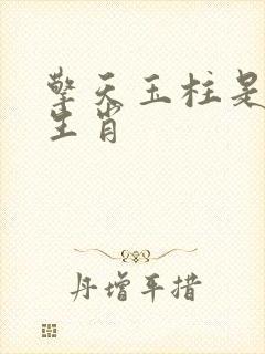 擎天玉柱是什么生肖