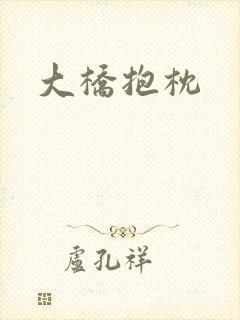 大桥抱枕