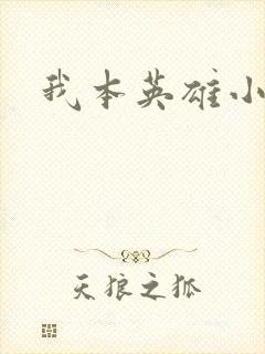 我本英雄小说