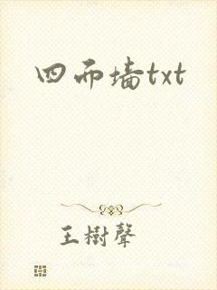 四面墙txt