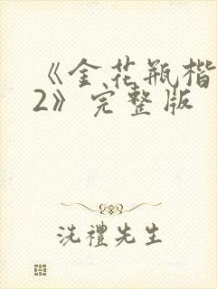 《金花瓶楷梅花2》完整版封面