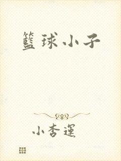 篮球小子