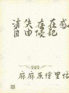 消失存在感消失自由侵犯