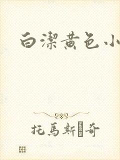 白洁黄色小说封面