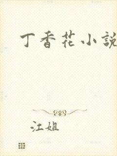 丁香花小说封面