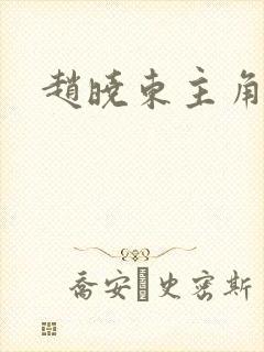 赵晓东主角小说