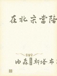 在北宋当陪房