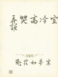 弄哭高冷室友小说